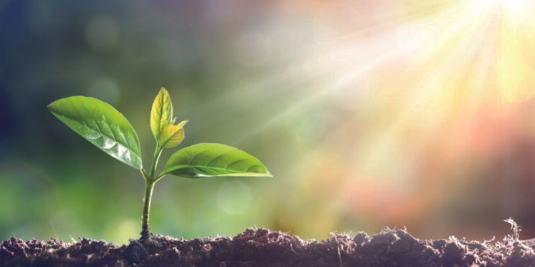 SRT market boom set for five more years of solid growth