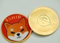 shiba inu
