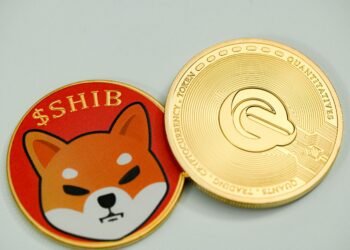 shiba inu