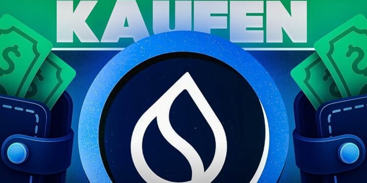 SUI coin Kaufen