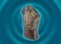 This AI company wants to replace MRIs with a 60-second dip in the spa. Can that really work?