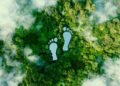 Triodos IM appoints fund manager of Hivos-Triodos Fonds