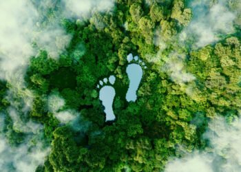 Triodos IM appoints fund manager of Hivos-Triodos Fonds