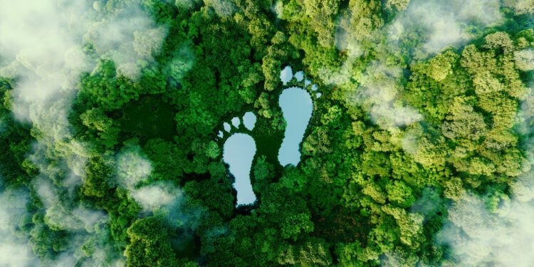 Triodos IM appoints fund manager of Hivos-Triodos Fonds