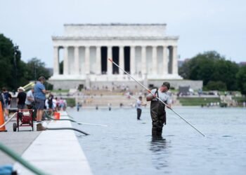Trump, blaming alleged vandals, says Washington Reflecting Pool needs repairs