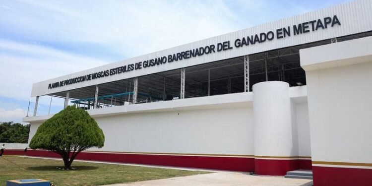 US, Mexico inaugurate sterile fly plant in Chiapas in cross-border screwworm fight