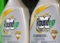 US Supreme Court scales back Roundup cancer lawsuits
