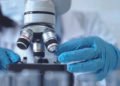 Valuations under the microscope