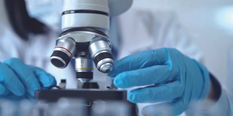 Valuations under the microscope