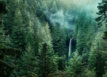 Where Was Twilight Filmed? Sinking Our Teeth Into the Real Forks, Washington And Other Filming Locations