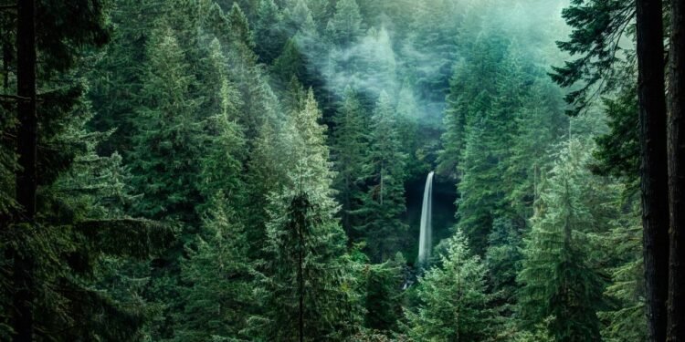 Where Was Twilight Filmed? Sinking Our Teeth Into the Real Forks, Washington And Other Filming Locations