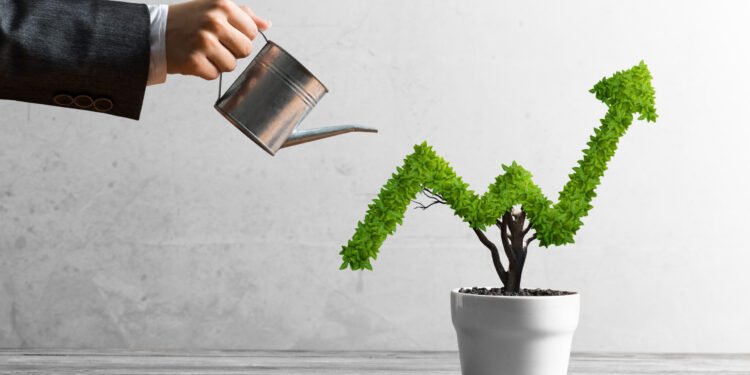 Why Own Hundreds of Stocks Instead of One Fund?