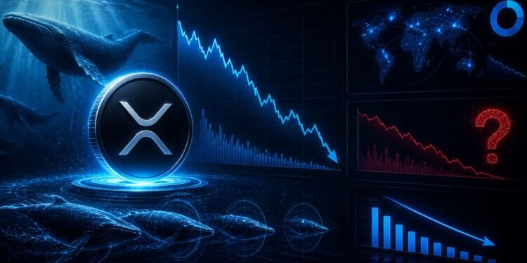 XRP Whale Activity Falls To A Four-Year Low – What Does It Mean For Price?