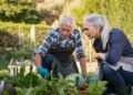 ‘We own our home outright’: I am 67 and earn $100,000. Do I take my $30,000 Social Security now or wait?