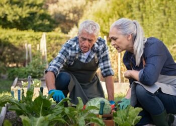 ‘We own our home outright’: I am 67 and earn $100,000. Do I take my $30,000 Social Security now or wait?