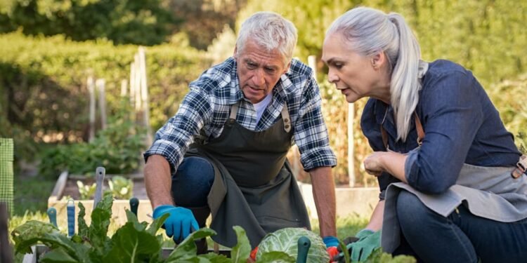 ‘We own our home outright’: I am 67 and earn $100,000. Do I take my $30,000 Social Security now or wait?