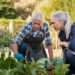 ‘We own our home outright’: I am 67 and earn $100,000. Do I take my $30,000 Social Security now or wait?