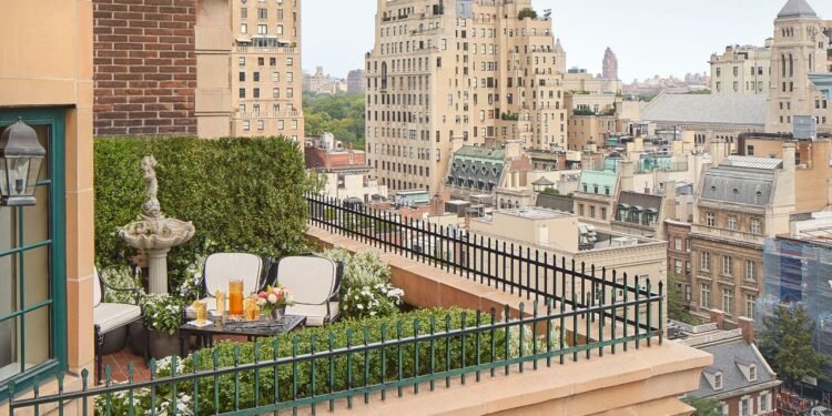 7 Best Hotels on the Upper East Side for Museum Visits, Central Park Walks, and Glimpses of Old New York