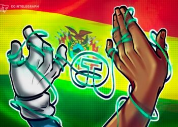 bolivia-banco-bisa-usdt-custody