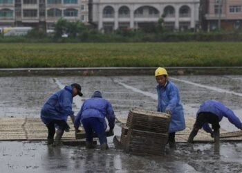 China evacuates over one million as Typhoon Bavi nears