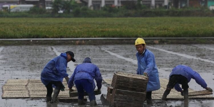 China evacuates over one million as Typhoon Bavi nears