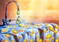 Coinbase Ventures Emerges as Leading Crypto VC in H1 2026