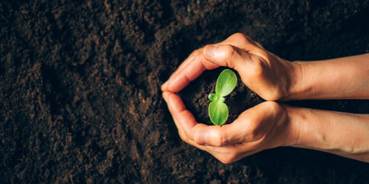 Creation Capital has listed a new private credit fund on the Cape Town Stock Exchange, with aims to target South Africa's $21bn (£15.5bn) funding gap
