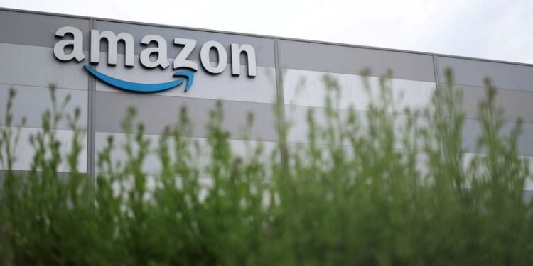 Fresh foods boost Amazon Now demand in Brazil, executive says