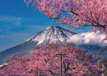 Japan in midst of ‘multi-decade’ move to private markets