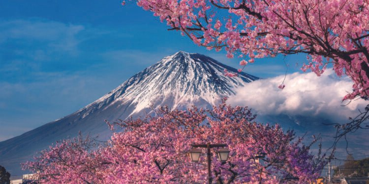Japan in midst of ‘multi-decade’ move to private markets