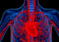 Lindsey Graham died from a rare heart condition. Here’s how to know if you’re at risk.