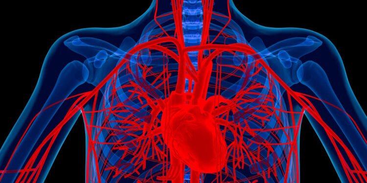 Lindsey Graham died from a rare heart condition. Here’s how to know if you’re at risk.