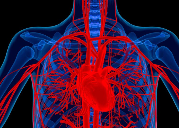 Lindsey Graham died from a rare heart condition. Here’s how to know if you’re at risk.
