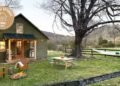 My Favorite Airbnb in Crozet, Virginia, on a 400-Acre Blue Ridge Mountain Farm
