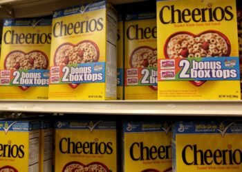 Protein-packed Cheerios and cat food: How General Mills plans to combat a tough spending backdrop