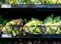 Skip the lettuce, cook your other greens and more advice on avoiding cyclosporiasis