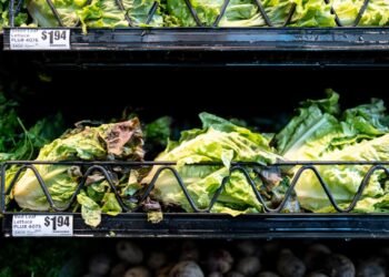 Skip the lettuce, cook your other greens and more advice on avoiding cyclosporiasis