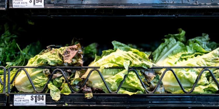 Skip the lettuce, cook your other greens and more advice on avoiding cyclosporiasis
