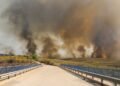 Spanish wildfire victims burned in cars as roads turned into death traps