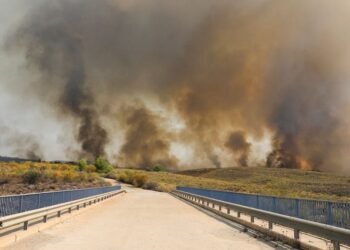 Spanish wildfire victims burned in cars as roads turned into death traps