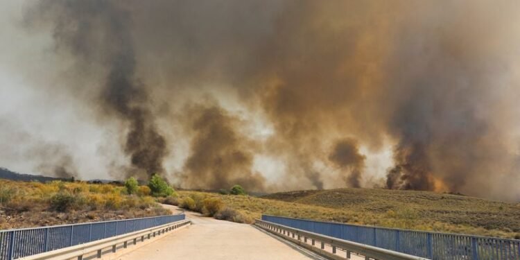 Spanish wildfire victims burned in cars as roads turned into death traps