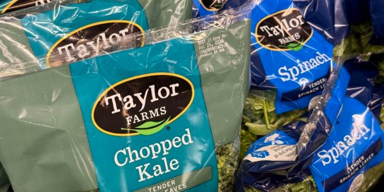 Taylor Farms to recall iceberg lettuce that may be the cause of the cyclospora outbreak