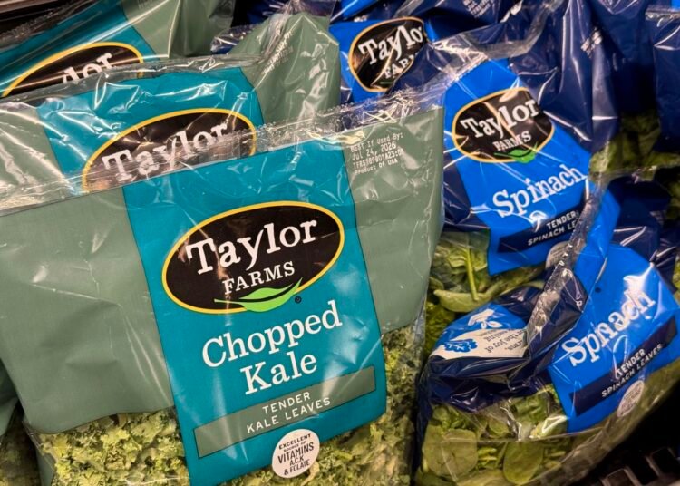 Taylor Farms to recall iceberg lettuce that may be the cause of the cyclospora outbreak