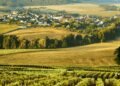The Art of Winetasting on a Honeymoon in Champagne