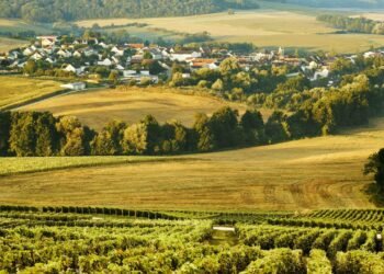 The Art of Winetasting on a Honeymoon in Champagne