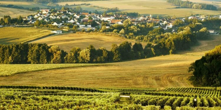 The Art of Winetasting on a Honeymoon in Champagne