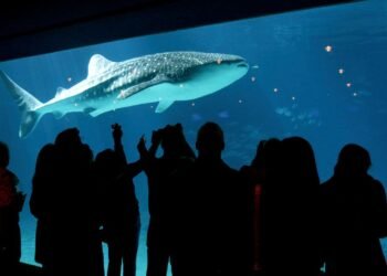 The Best Aquariums in the US
