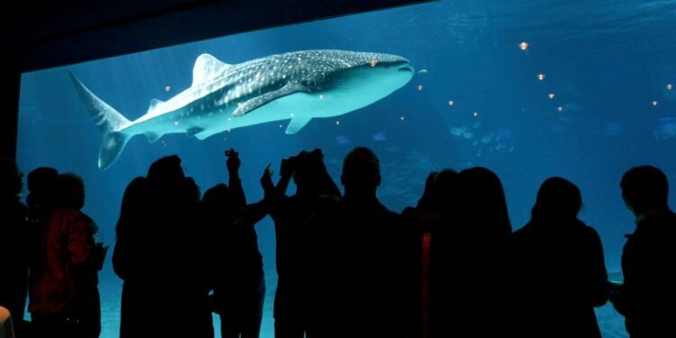 The Best Aquariums in the US