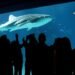 The Best Aquariums in the US
