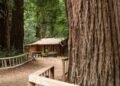 The Best Hotels in Big Sur for a Relaxing Off-Grid Getaway